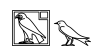 O10-G36
