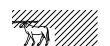 E11*..