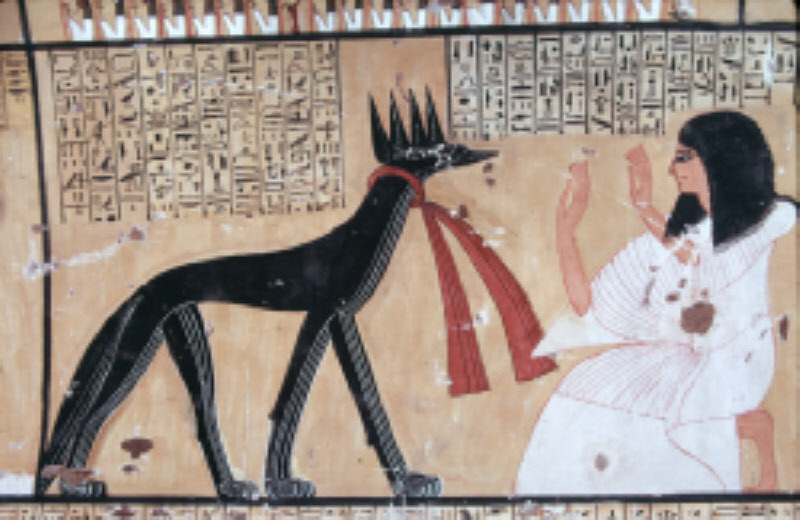 NU_2004_02360.jpg
