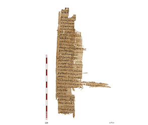 Le papyrus Fouad 220